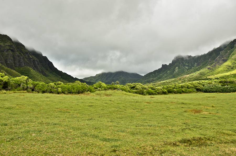 Hawaii-2228