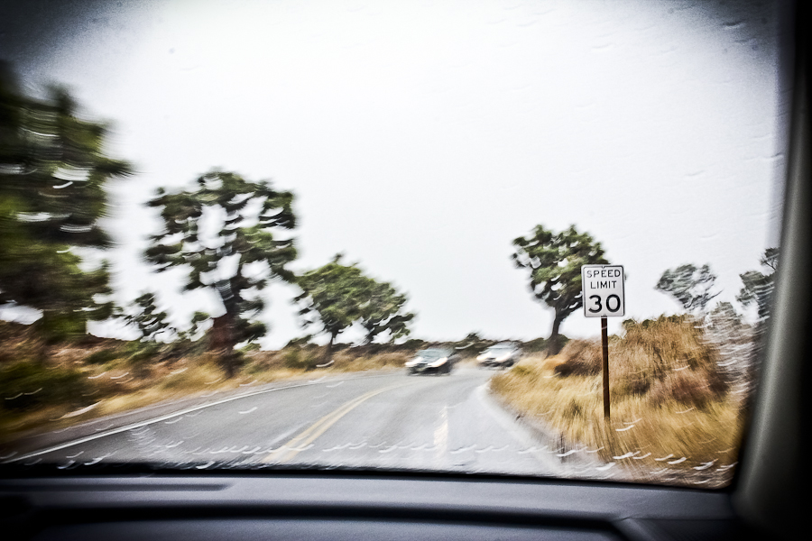 JoshuaTree-9547
