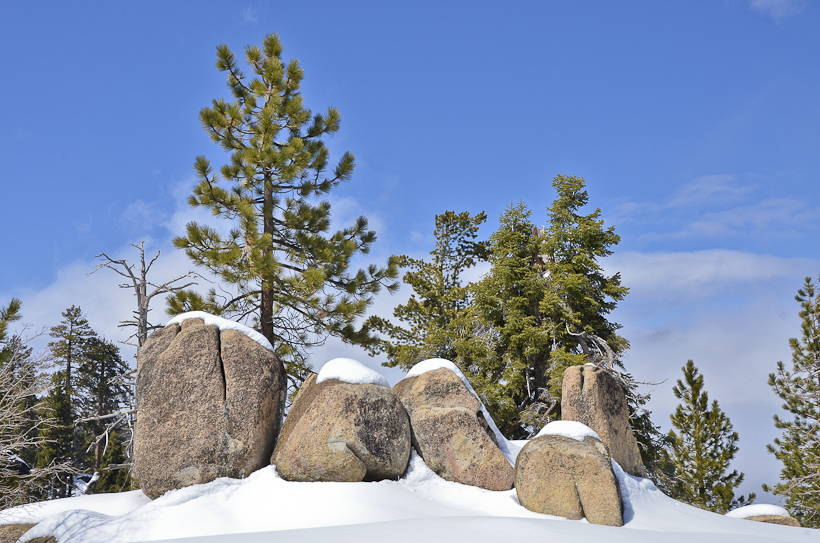 BigBear-4614