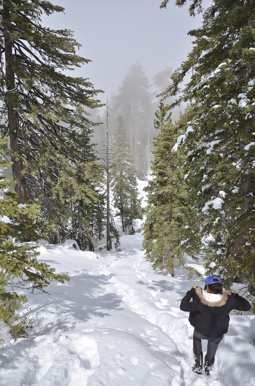 BigBear-4706