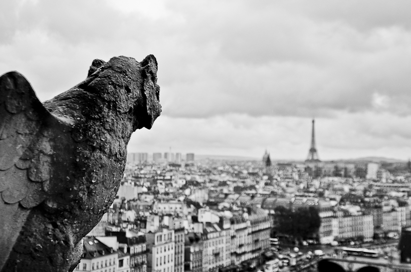 Cathédrale Notre Dame de Paris-9814