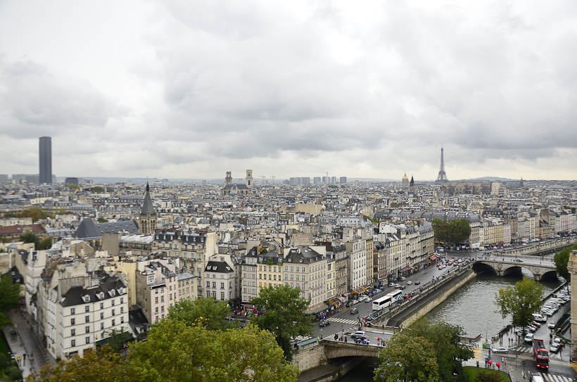 Cathédrale Notre Dame de Paris-9859