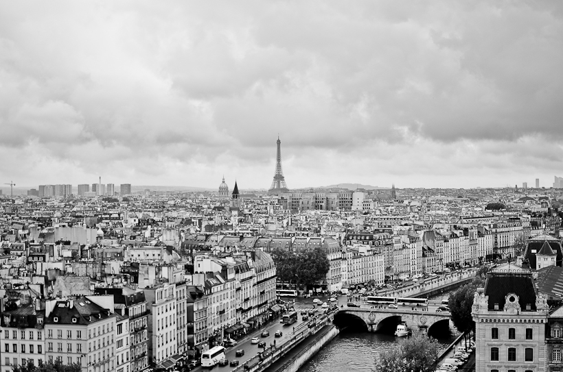 Cathédrale Notre Dame de Paris-9889