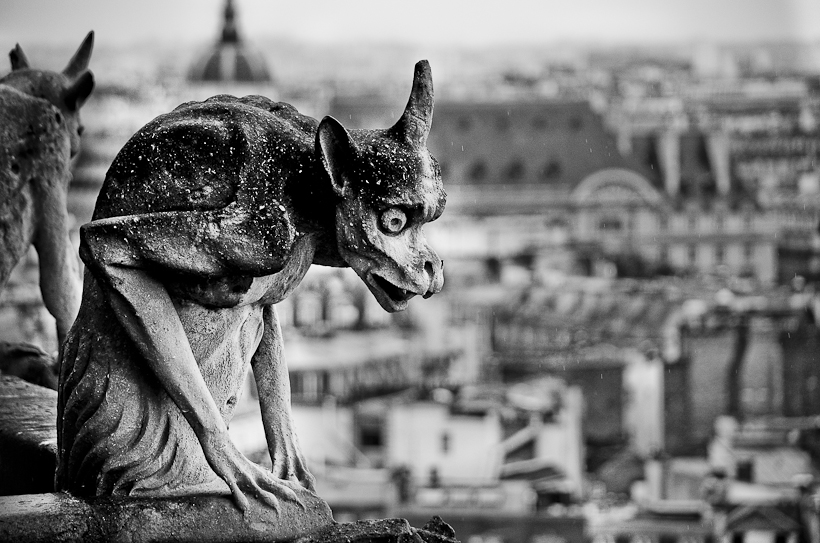Cathédrale Notre Dame de Paris-9894