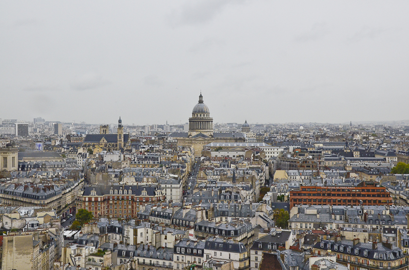 Cathédrale Notre Dame de Paris-9953