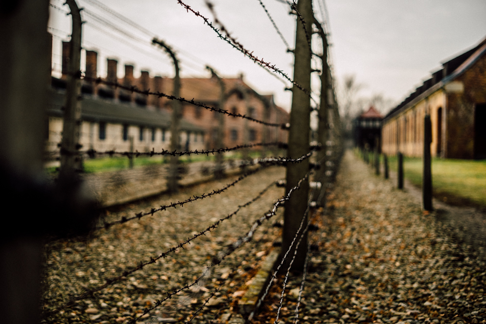 Auschwitz-25