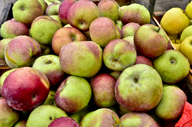 ProspectParkFarmersMarket-1982